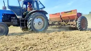 Сеем озимую пшеницу 2024/Жизнь в деревне/Farmhouse Rimši🏡