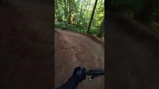 Which wood rollercoaster scares you more?