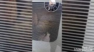 уйгурские лепешки в дровяной печи