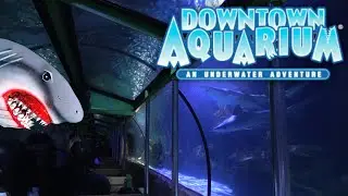 POV Shark Voyage Train Ride at Downtown Aquarium Houston