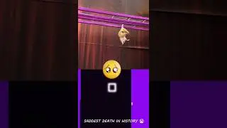 Poor Hamster in Squid Game... 😨😨😭 | @Hamsterious | Bouncing Square #squidgame