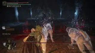 Vs Grave Warden Duelist (Auriza Side Tomb) [ER]