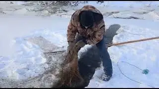 Проверка вятерей
