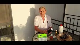 Защита винограда от вредителей и болезней