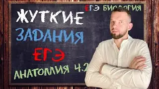 Жуткие задания по анатомии ч 2 | ЕГЭ БИОЛОГИЯ