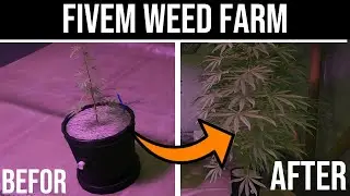Weed Farm in FiveM | Befor and After | GTA 5 Role Play