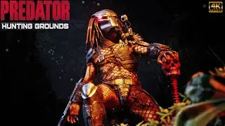 Stream! Predator Hunting Grounds | Let's kill predators 04 11 2024
