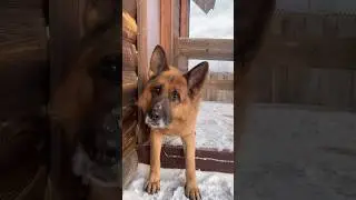 Как зовут твоего ангела!? 
