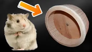 THE HAMSTER WHEEL. HOW TO MAKE WOODEN HAMSTER WHEEL WITH YOUR HANDS