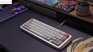 Percent Studio PT990 Build Stream