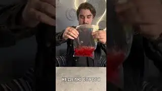Коктейльная Вишня в Водке 