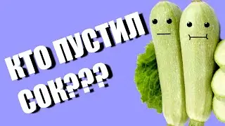 Оладьи - отголосок лета!)?