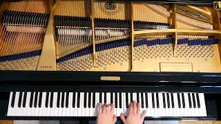 160 Eight Bar Exercises Nr.35 Allegro Czerny Op.821 Nr.35 C.Bechstein A228