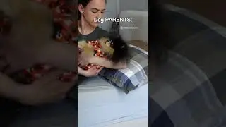Dog owners vs dog parents. There is a difference 💁🏻‍♀️ 