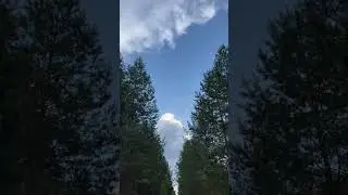 Иди мой друг дорогами добра. 
