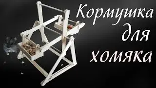 With their hands - the Ferris Wheel. Feeder for hamster