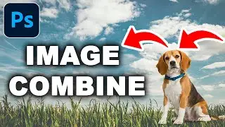 How to Add Another Image to an Image in Photoshop (Fast Edit Tutorial)