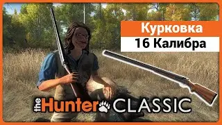 Курковка 16 калибра в theHunter Classic !