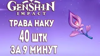 ТРАВА НАКУ (naku weed) 40 ШТК ЗА 9 МИНУТЫ [Гайд] [Маршрут] ► Genshin Impact