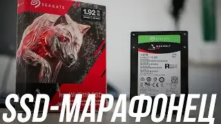 Seagate IronWolf 110 SSD: накопитель повышенной надежности для NAS и мощных ПК