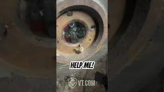 Mouse Trapped in Brake Rotor Desperately Begs to Be Freed! 🐭😂