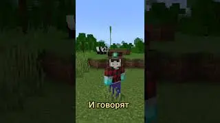 #minecraft