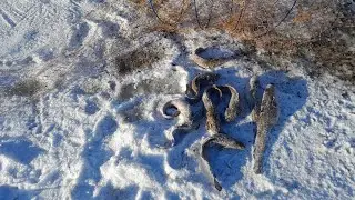 Проверка вятеря в Рождество