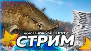 🔥ОСЕТРЫ ⭐ ЛЮТАЯ ЛОВЛЯ НА ТУНГУСКЕ И АХТУБЕ 🎁Рулетка & Розыгрыши 🏆 СТРИМ РР4