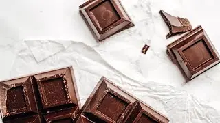 Why Can't Dogs Eat Chocolate? Understanding the Dangers