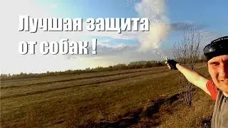 Как я защищаюсь от собак на велосипеде