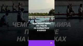 Как прошел Чемпионат мира по гребле на байдарках и каноэ в Узбекистане