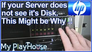 Why does Operating System XYZ, not see my Server Disk - 1426