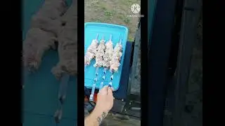 #шашлык