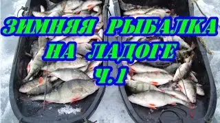 Зимняя рыбалка на Ладоге.Часть 1.