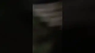 Pemersatu Bangsa 