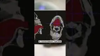 Никогда не думал, что мы снова сможем услышать голос Фараона