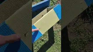 Испортили корпуса мыши моль или дятлы не беда КАК Я ПОЧИНИЛ КОРПУСА НА ПАСЕКЕ ИЗ ППС 🔥☝️🐝