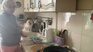 Настроение на нуле, но обед готовить надо. Делаю крылышки под соусом терияки.