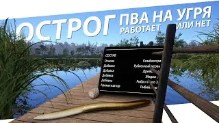РУССКАЯ РЫБАЛКА 4 - Старый Острог - Угорь, работает ли на нём ПВА ? / Стрим