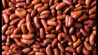 I'm Spilling all my Beans [Channel Update 5.17.24]