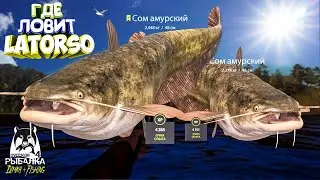 Русская рыбалка 4.🎣 р. Нижняя Тунгуска 🐋🐋💦 ГДЕ ЛОВИТ LATORSO 👀