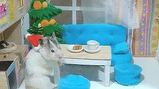 ХОМЯКИ играют В ПРЯТКИ в доме для кукол. Hamsters play hide and seek