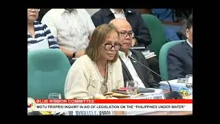 FLOOD CONTROL HEARING 