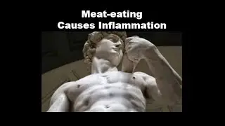 Dreams 2025-05-19 Meat-eating Causes Inflammation