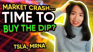 Buy The Dip - Stock Market Crash