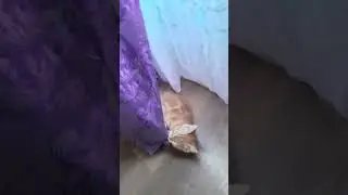 Самый классный дизайнер  