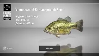 Fishing Planet - Как и где ловить Баса на озере Эверглэйдс?