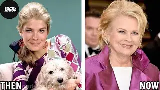 20 Stunning Stars From The 70s And Their Shocking Looks Now