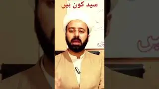 سید کون ہیں کونسے سادات کا احترام واجب ہے 