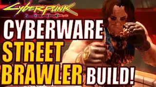 Cyberpunk 2077: Cyberware Street Brawler Build!